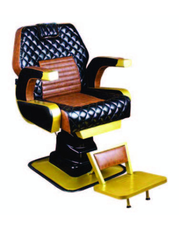 Salon Barber Chair, Made in Turkey Hydraulic Reclining Beauty Hairdressing Professional Haircut Chair Styling Swivel Chair Height Adjustable