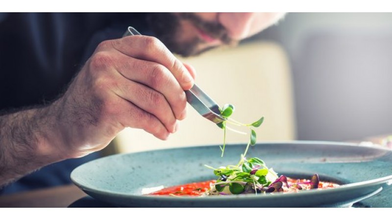 Importance of Food Presentation Techniques and Its Effect on Businesses