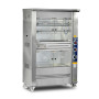 Chicken Rotisserie with Hot Display | Gas & Electric Commercial Rotisserie – 5 Skewers, 25 Chicken Capacity
