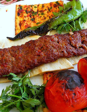 17 Brochette Kebab Machine Adana Viande Kebab Cuiseur 17 Brochette Kebab Machine Adana Viande Kebab Cuiseur