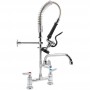 6-Inch Mini Dual Temperature Pre-Rinse Faucet with Spray Valve and 8" Swing Faucet Deck Mount Chrome Plated Brass | TurcoBazaar 5809A08