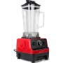 Professional Blender 2 litre 800W | TurcoBazaar HS767S