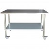 Commercial Mobile Work Table Stainless Steel Bottom Shelf 900x600x900mm | TurcoBazaar WTG600X900C
