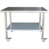 Commercial Mobile Work table Stainless steel Bottom shelf 1000x750x900mm | TurcoBazaar WTG750X1000C