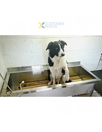 Commercial Pot Wash Sink Stainless steel 1 bowl Splashback 1400x600x900mm Square legs | TurcoBazaar PSA14060