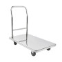 301005 - Removable Platform Trolley 301005 - Removable Platform Trolley
