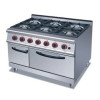 Range Oven with 6 Burner Hob (RQ-6)