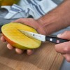 Zwilling Twin P. Paring Knife, 10c, Grey