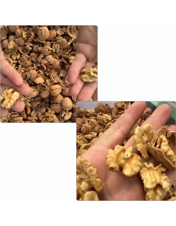 Turco CKK300 Professional Walnut Cracking Machine — No Calibration Required Turco CKK300 Professional Walnut Cracking Machine — No Calibration Required