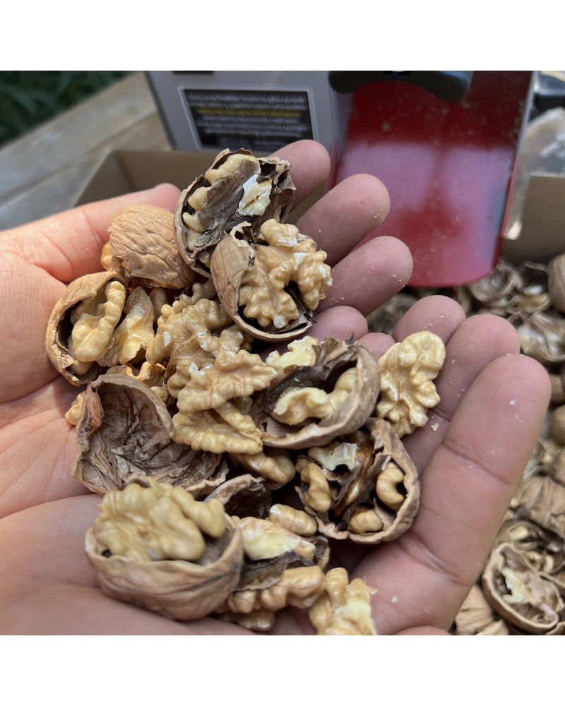 Turco CKK40 Walnut & Hazelnut Cracking Machine Turco CKK40 Walnut & Hazelnut Cracking Machine